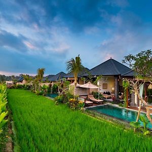 Bliss Ubud Spa Resort